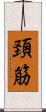 頚筋 Scroll