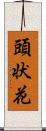 頭状花 Scroll
