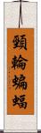 頸輪蝙蝠 Scroll