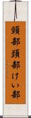頸部 Scroll