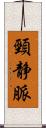 頸静脈 Scroll