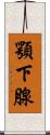 顎下腺 Scroll