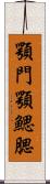 顎門 Scroll