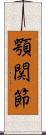 顎関節 Scroll