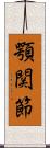 顎関節 Scroll