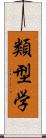 類型学 Scroll