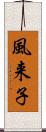 風来子 Scroll