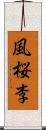 風桜李 Scroll