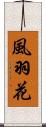 風羽花 Scroll