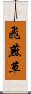 飛燕草 Scroll