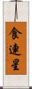 食連星 Scroll