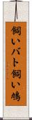 飼いバト Scroll