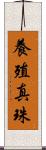 養殖真珠 Scroll