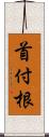 首付根 Scroll