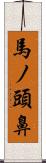馬ノ頭鼻 Scroll
