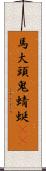 馬大頭;鬼蜻蜓(oK) Scroll