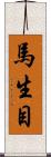 馬生目 Scroll