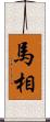 馬相 Scroll