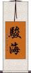 駿海 Scroll