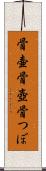 骨壷 Scroll