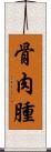 骨肉腫 Scroll