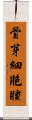 骨芽細胞腫 Scroll