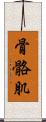 骨骼肌 Scroll