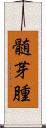髄芽腫 Scroll