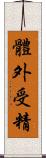 體外受精 Scroll