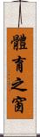 體育之窗 Scroll