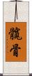 髖骨 Scroll