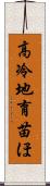 高冷地育苗ほ Scroll