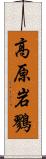 高原岩鷚 Scroll