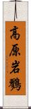 高原岩鷚 Scroll