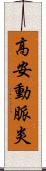 高安動脈炎 Scroll