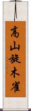 高山旋木雀 Scroll