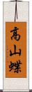 高山蝶 Scroll