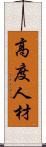 高度人材 Scroll