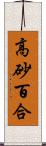 高砂百合 Scroll