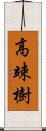 高竦樹 Scroll