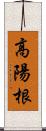 高陽根 Scroll