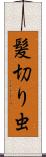 髪切り虫 Scroll