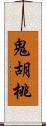 鬼胡桃 Scroll