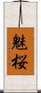 魅桜 Scroll