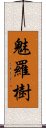 魅羅樹 Scroll