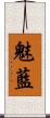 魅藍 Scroll