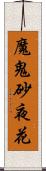 魔鬼砂夜花 Scroll