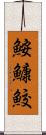 鮟鱇鮫 Scroll