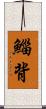 鯔背 Scroll