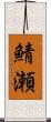 鯖瀬 Scroll